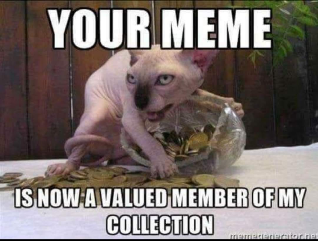 A meme about stealing memes - a hairless cat hording coins